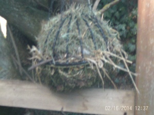 our nest ball holder for the breeding season 